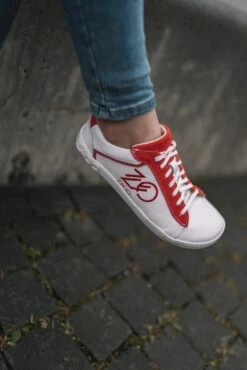 CEDRIQ Red -Günstiges ZAQQ Geschäft cedriq red cerdriq reddlpMKs6CIE3C4 1280x1280