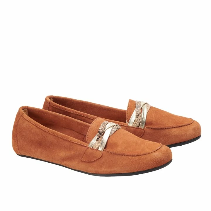 QERP Cognac 1 QERP Cognac