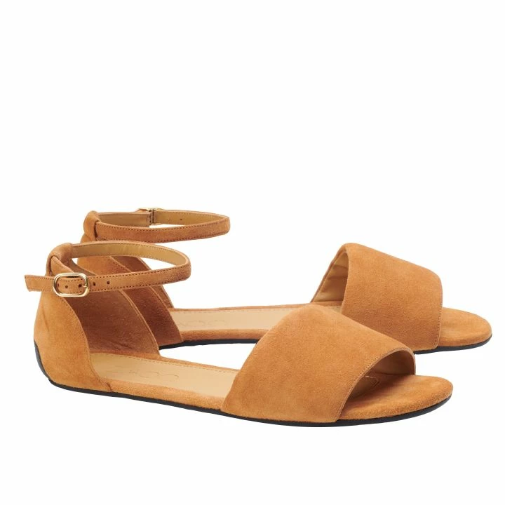 TEQA Brown 1 TEQA Brown